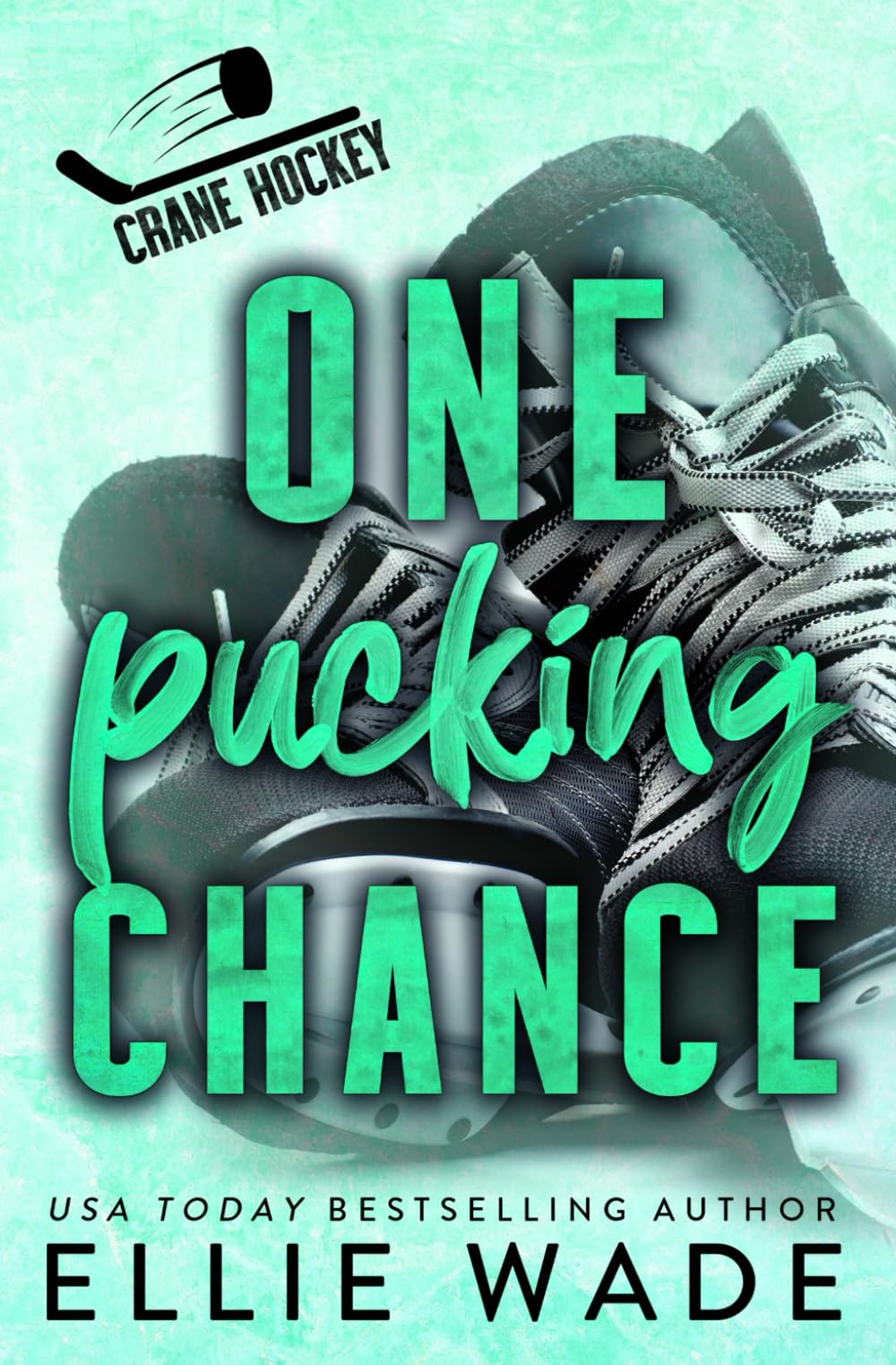 One Pucking Chance: A Celebrity/Athlete, Fake Dating Romance (Crane Hockey)