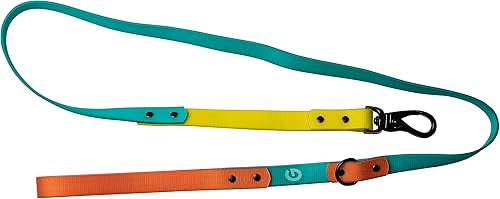 Good Trouble Pets Everday - Correa para perro, correas para perros medianos, verde azulado y melocotón, 6 pies, correa impermeable para perro,