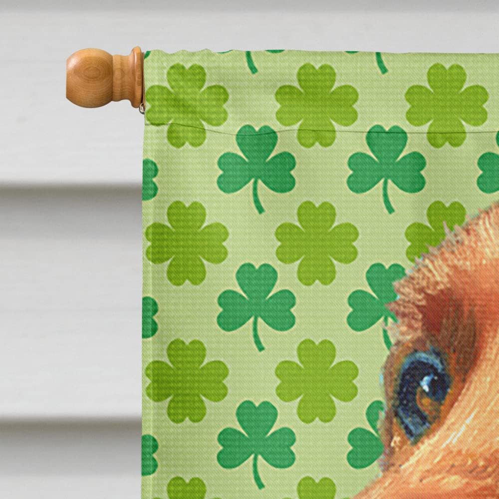 Caroline's Treasures LH9569CHF Irish Setter St. Patrick's Day Shamrock House Flag Large Porch Sleeve Pole Decorative Outside Yard Banner Artwork Wall Hanging, Polyester, House Size, Multicolor