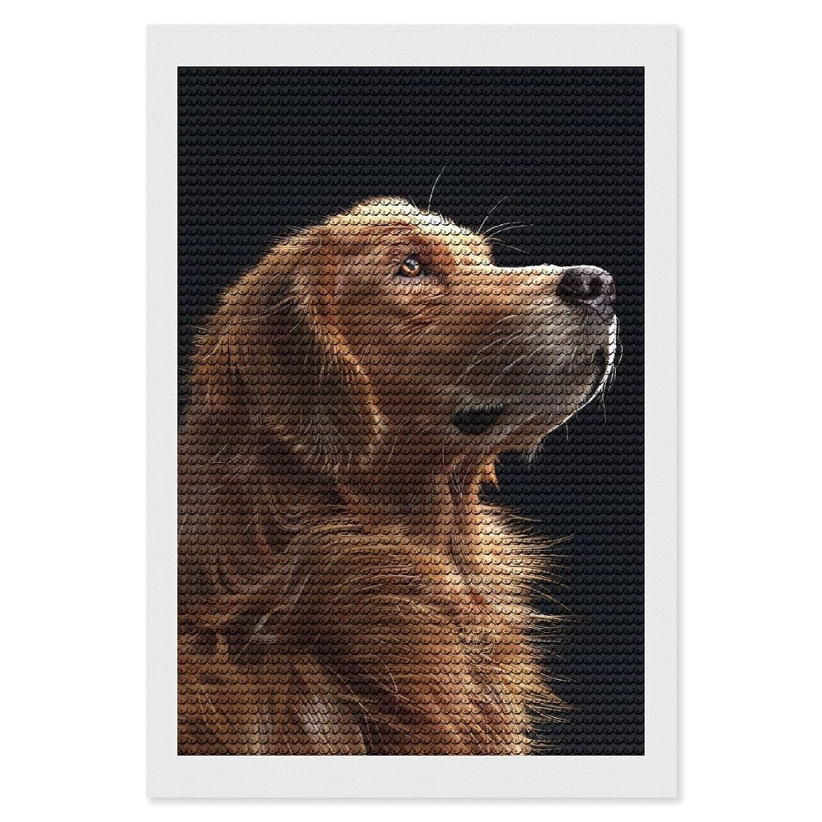 Junmoney Golden Retriever(2) Diamond Painting Canvas Set 8"x12", for Women, Pleasing Wall Art Project, Aesthetic Room Decor, Gift Idea