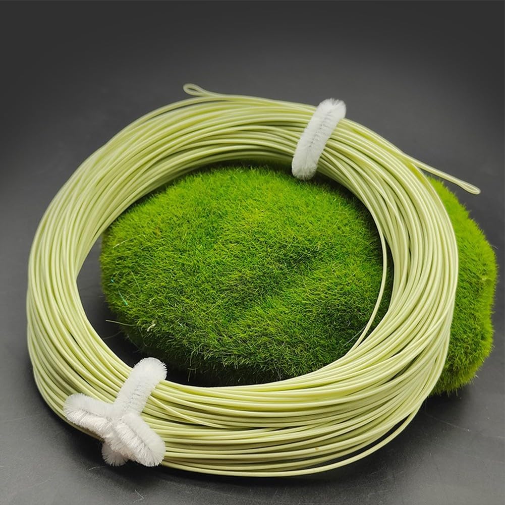 View 6