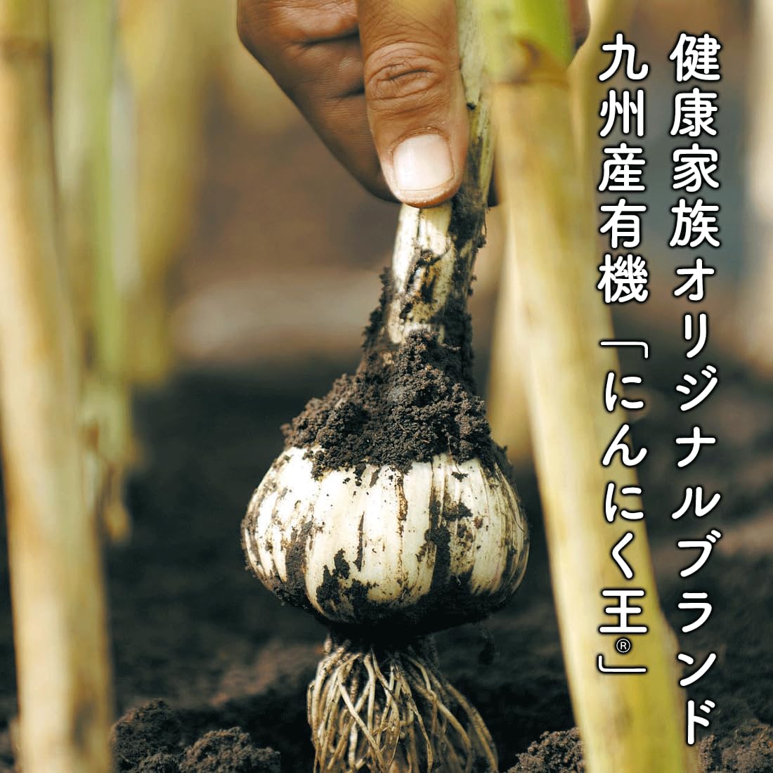 Amazon.co.jp: 健康家族 にんにく生姜 31粒×6袋 お徳用 国産黄金生姜