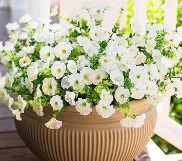Artificial Flowers for Decoration, No Fade Resistant Plants, Flowers for Spring Summer Decoration Home Garden Window Box Farmhouse Wedding Party Decor White