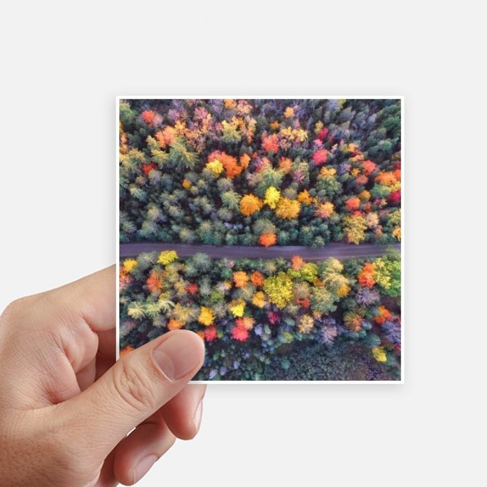 Sticker paysage forêt multicolor pour personnaliser votre motobike et ordinateur