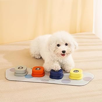 Amazon | MEWOOFUN 犬用 録音ボタン 4個入り 会話ボタン 音声