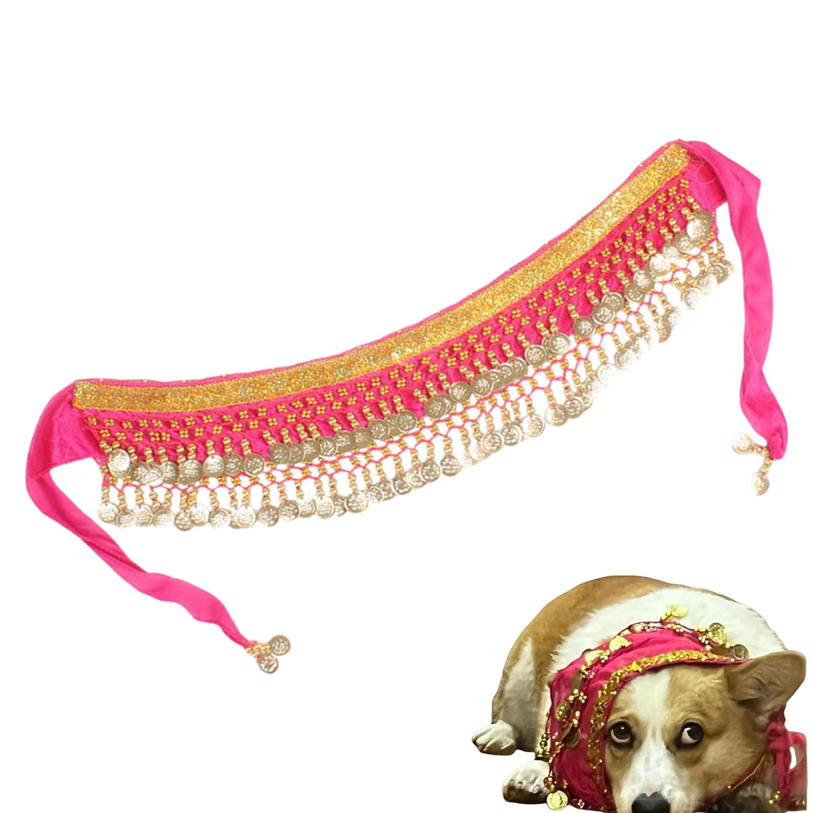 Esncddym Halloween Dog Costume | Halloween Day Pet Costumes,Funny Comfortable Belly Dancing Skirt With Dangling Gold Coin For Dog, Puppy