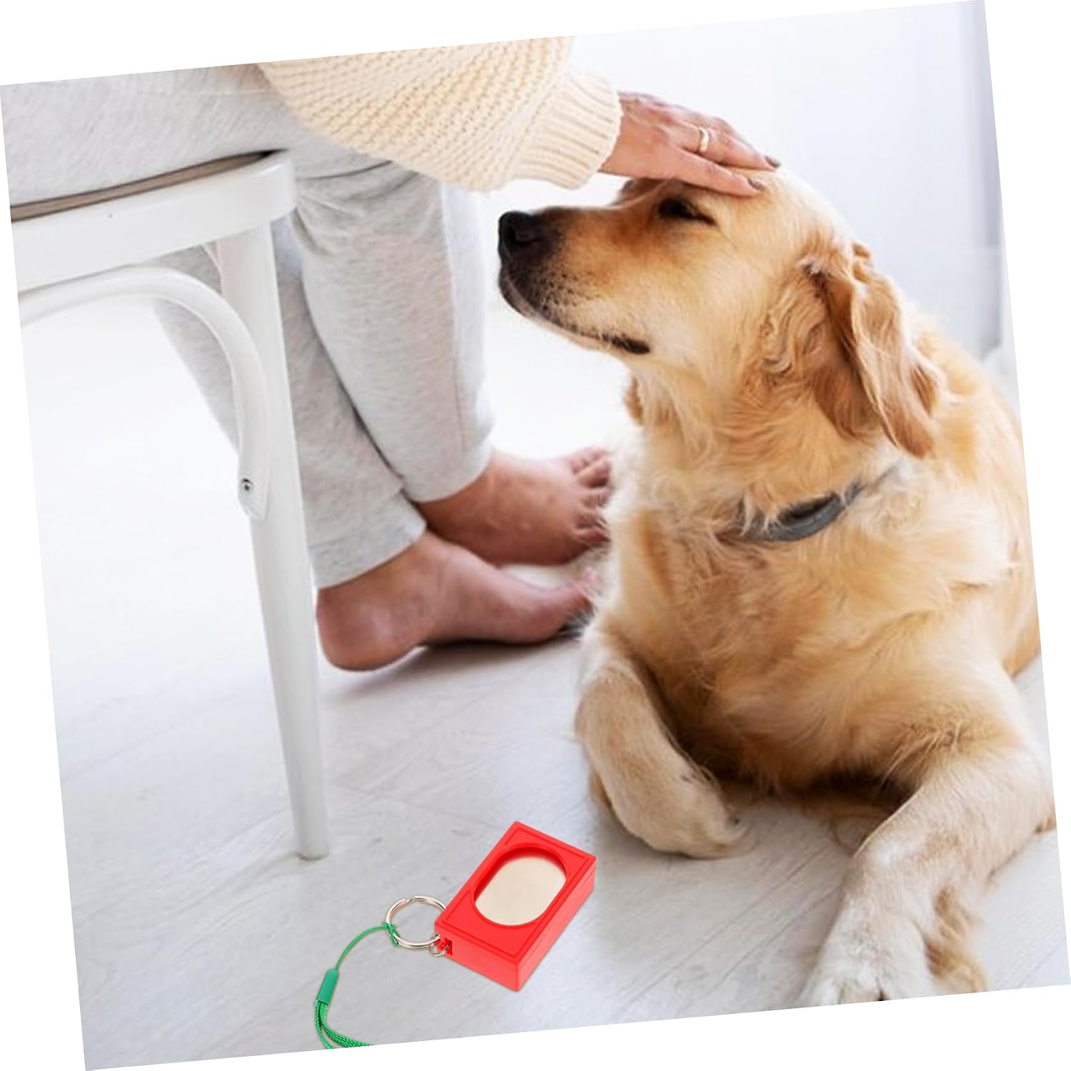 4pcs Pet Training Dog Training Tool for Positive Reinforcement Compact Breeds