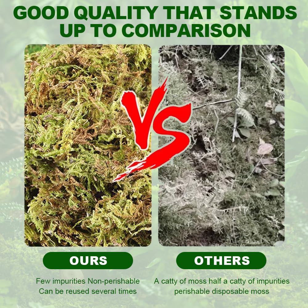 Musgo Sphagnum, 2 x 500 g Natural Musgo para Orquideas, Musgo Sphagnum Sustrato Bonsai Sphagnum Moss Tierra para Plantas, Enraizamiento de Esquejes, Decoración de Musgo
