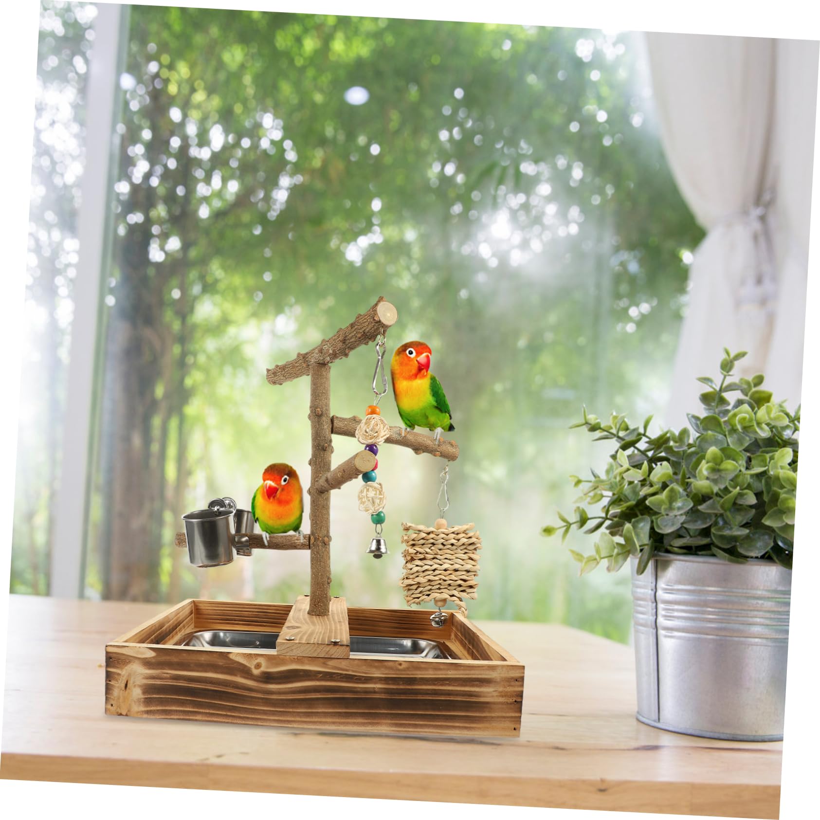 BESPORTBLE Puesto De Entrenamiento De Madera para Pájaros Accesorio Resistente Al Desgaste para Cacatúas Juguete De Escritorio para Loros para Jaulas De Periquitos