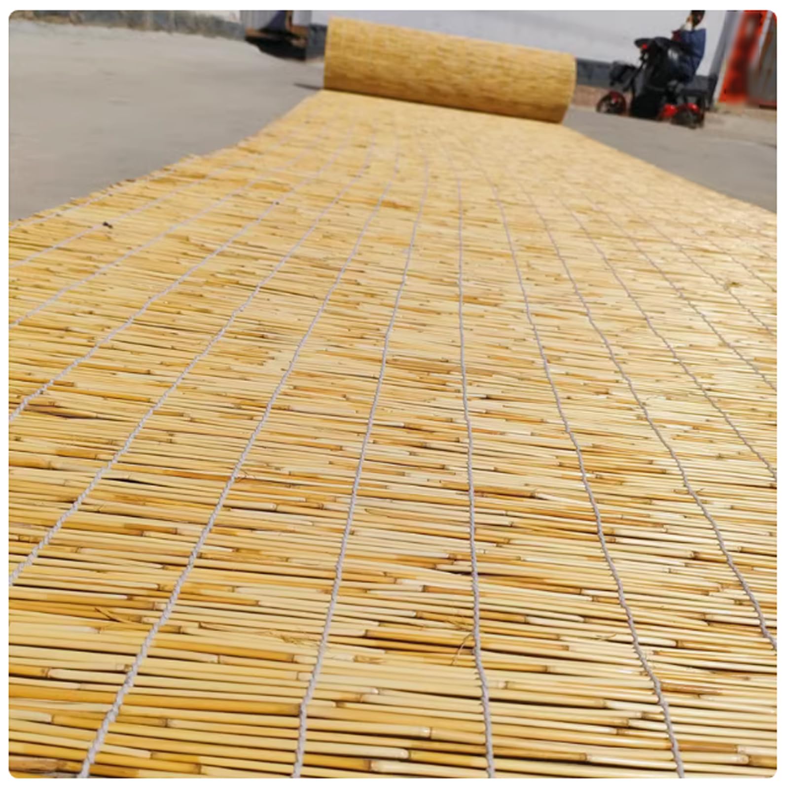 Stores enrouleurs en bambou naturel faits à la main - Stores vénitiens d'intérieur et d'extérieur respirants avec accessoires (135 x 320 cm) - Revêtement de fenêtre respectueux de l'environnement