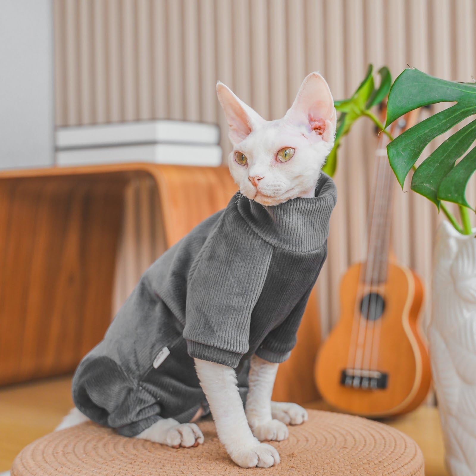トップス Turtleneck Sage Cat & Mouse 3y Turtleneck Sweater for Sphynx Cat Soft Thick Double-Sided Fleece