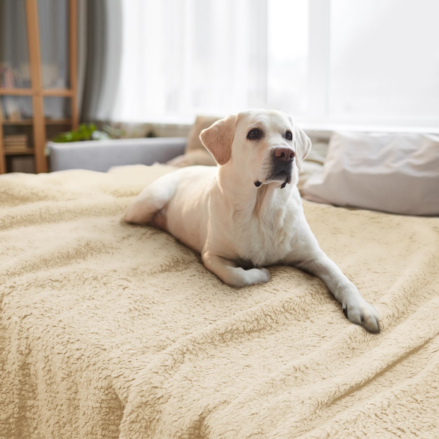 furrybaby Dog Blanket Soft Dog Blankets for Large Dogs Puppy Essentials Washable Sherpa Fleece Cat Blanket 59x78 Inches for Bed Furniture Couch Sofa (Jumbo, Beige)