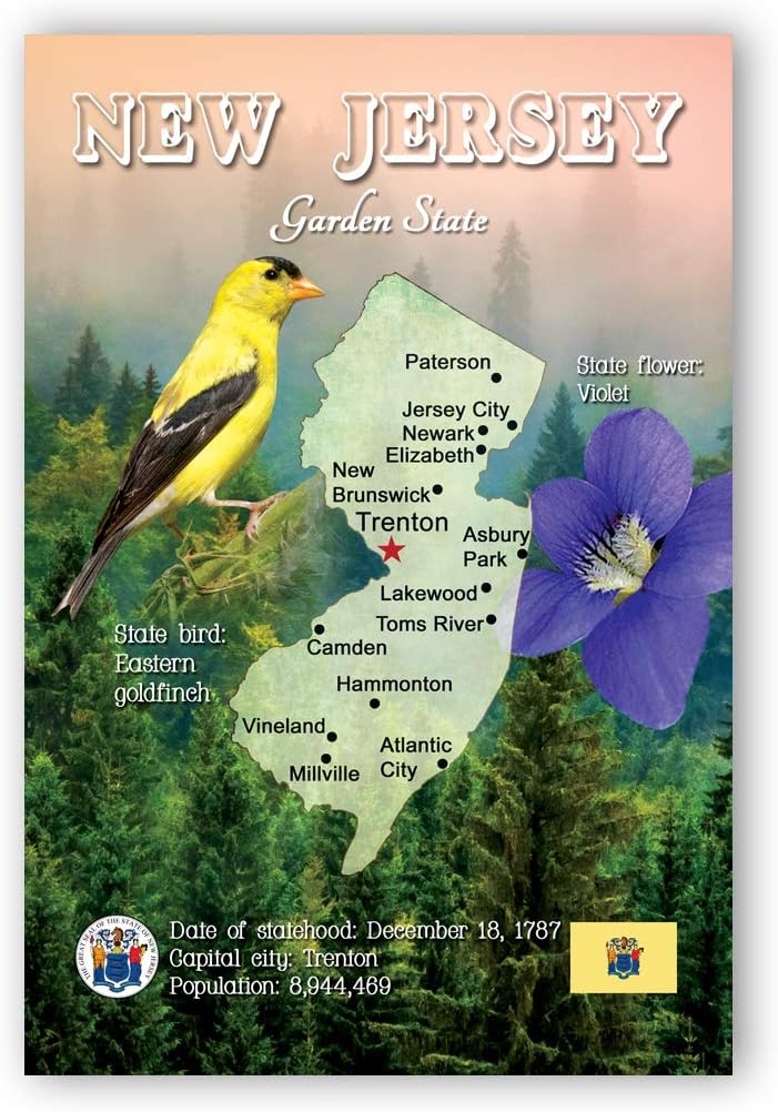 NEW JERSEY MAP postcard set of 20 identical postcards. NJ state map post cards. Made in USA.