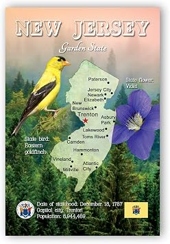 NEW JERSEY MAP postcard set of 20 identical postcards. NJ state map post cards. Made in USA.