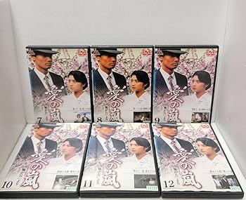 愛の嵐 DVD 全13巻セット 新品ケース収納 新 愛の嵐 DVD 全13巻セット レンタル使用済み
