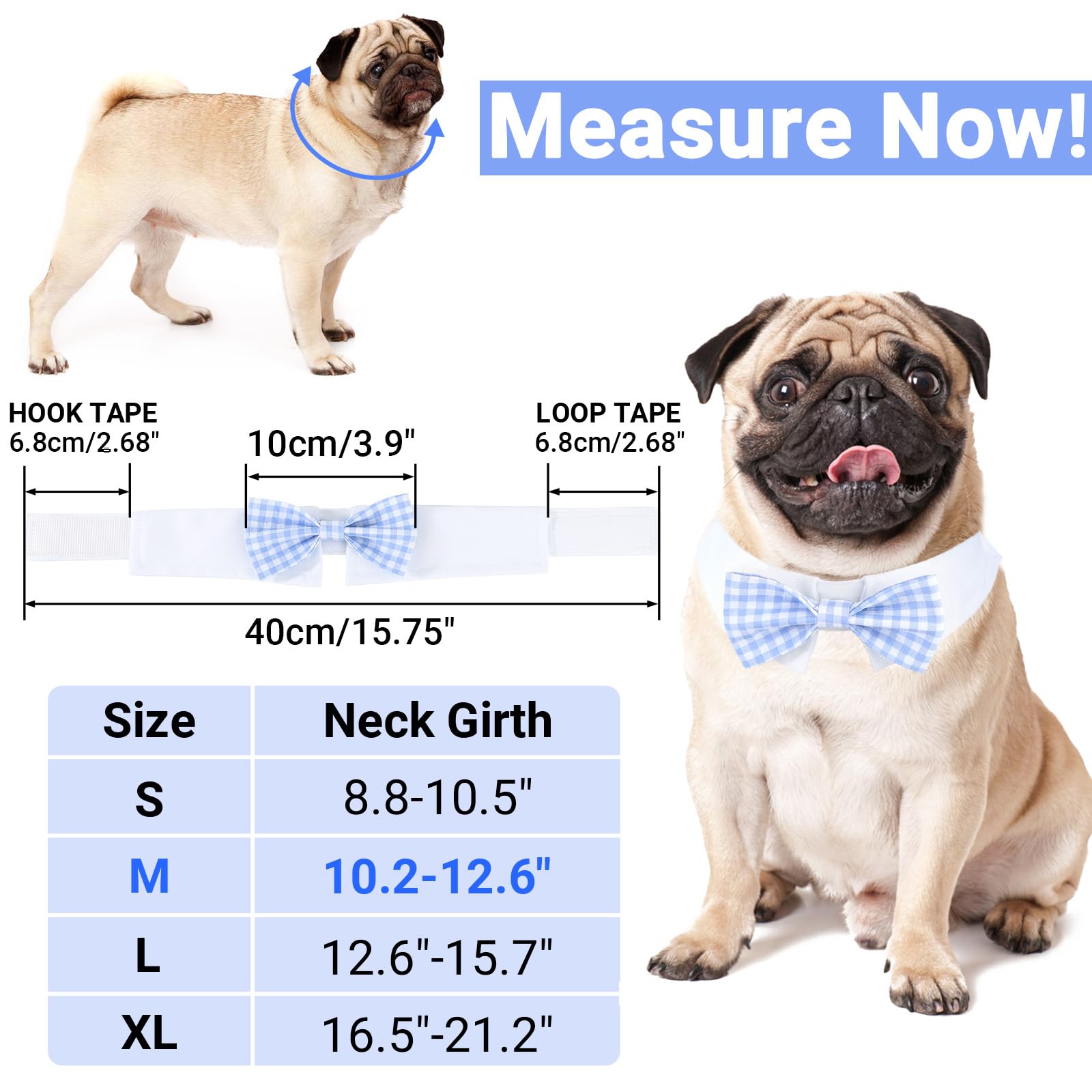 Amazon.co.jp: Segarty 犬用蝶ネクタイ、調節可能なライトブルー