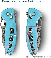 Vista 5 de ALBATROSS Cool Flipper Axis Lock - Cuchillo de bolsillo plegable de apertura con hoja de acero de Damasco moderna de 3 pulgadas y mango FRN de alta