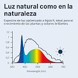 Ver la foto 6