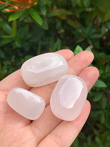 Miniatura 273 de GAF TREASURES Piedras pulidas de ojo de tigre de 1/2 libra, piedra preciosa natural pulida, cristales curativos de ojo de tigre (ojo de tigre)