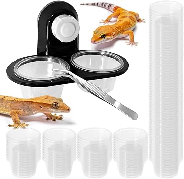 Black Gecko Feeding Ledge, Suction Station with Cups and Tweezer