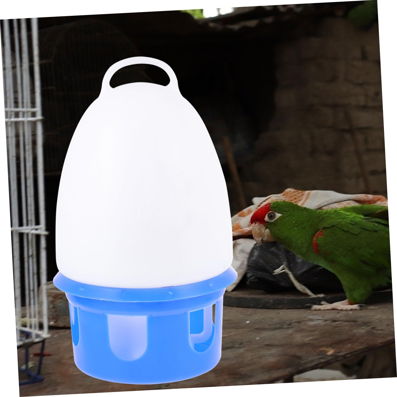 Abreuvoir pour Oiseaux et Pigeons 1 Pièce en PVC, Bleu