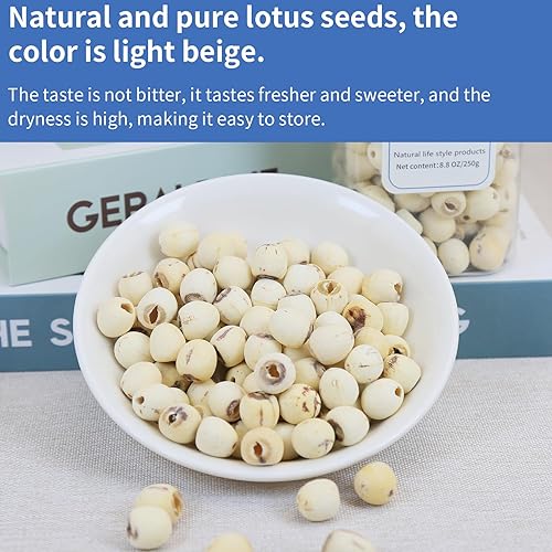 Miniatura 3 de DOZO Semillas de loto secas naturales de 17.6 oz500 g de semillas de loto para comer eliminación de núcleos, dermoabrasión, semillas de loto premium