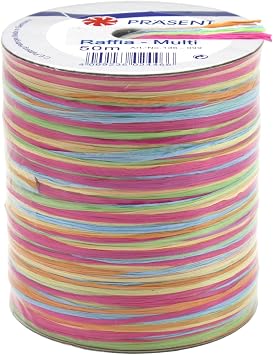 Morex Ribbon Rayon Raffia Fabric Ribbon Spool, 55-Yard, Multi Color,136-099