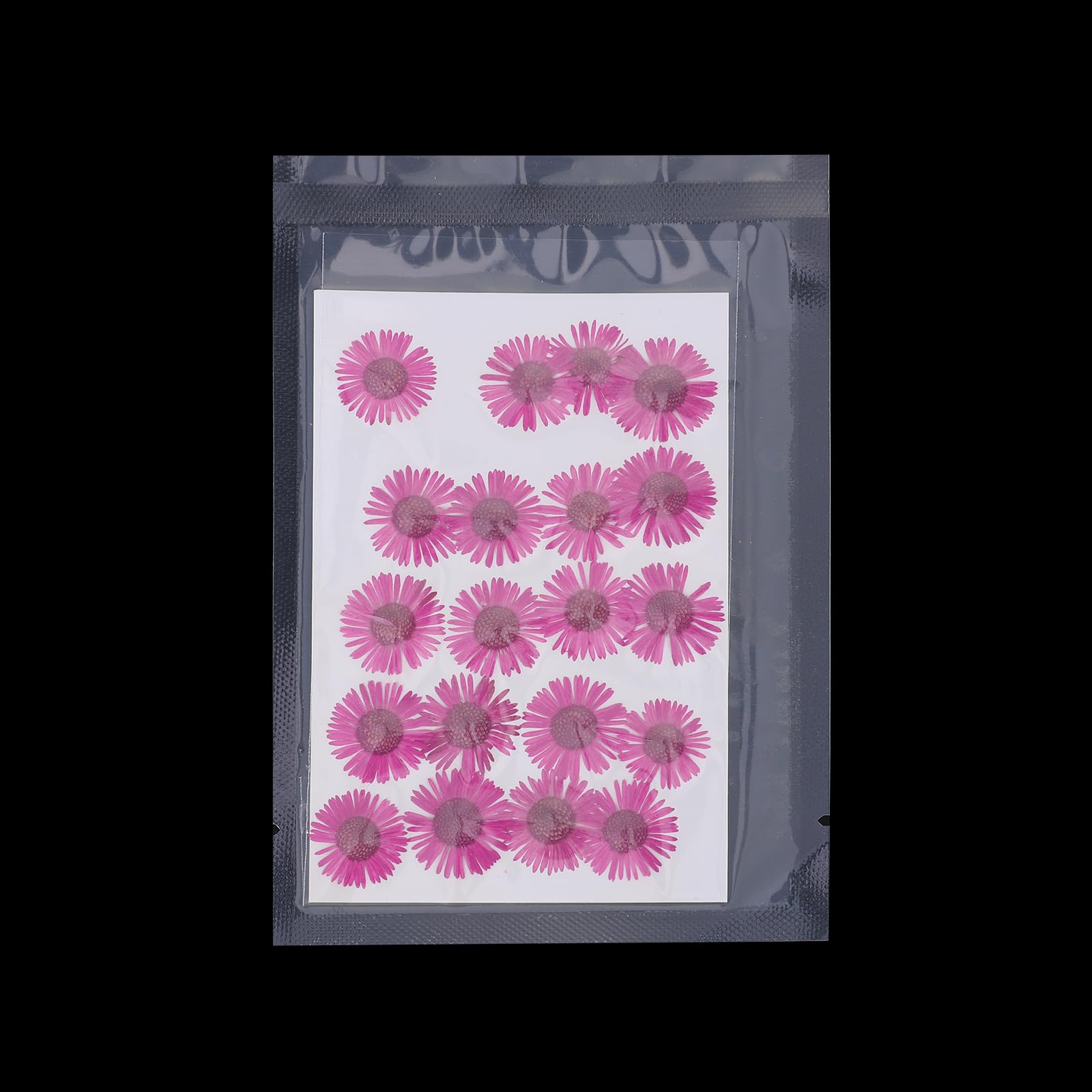 PATIKIL Dried Pressed Flower - Image 4
