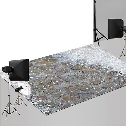 MEHOFOND Alfombrillas de goma de 5 x 4 pies, estilo rústico, para invierno, nieve, exteriores, fotografía, camino de piedra, impreso, tapete de goma