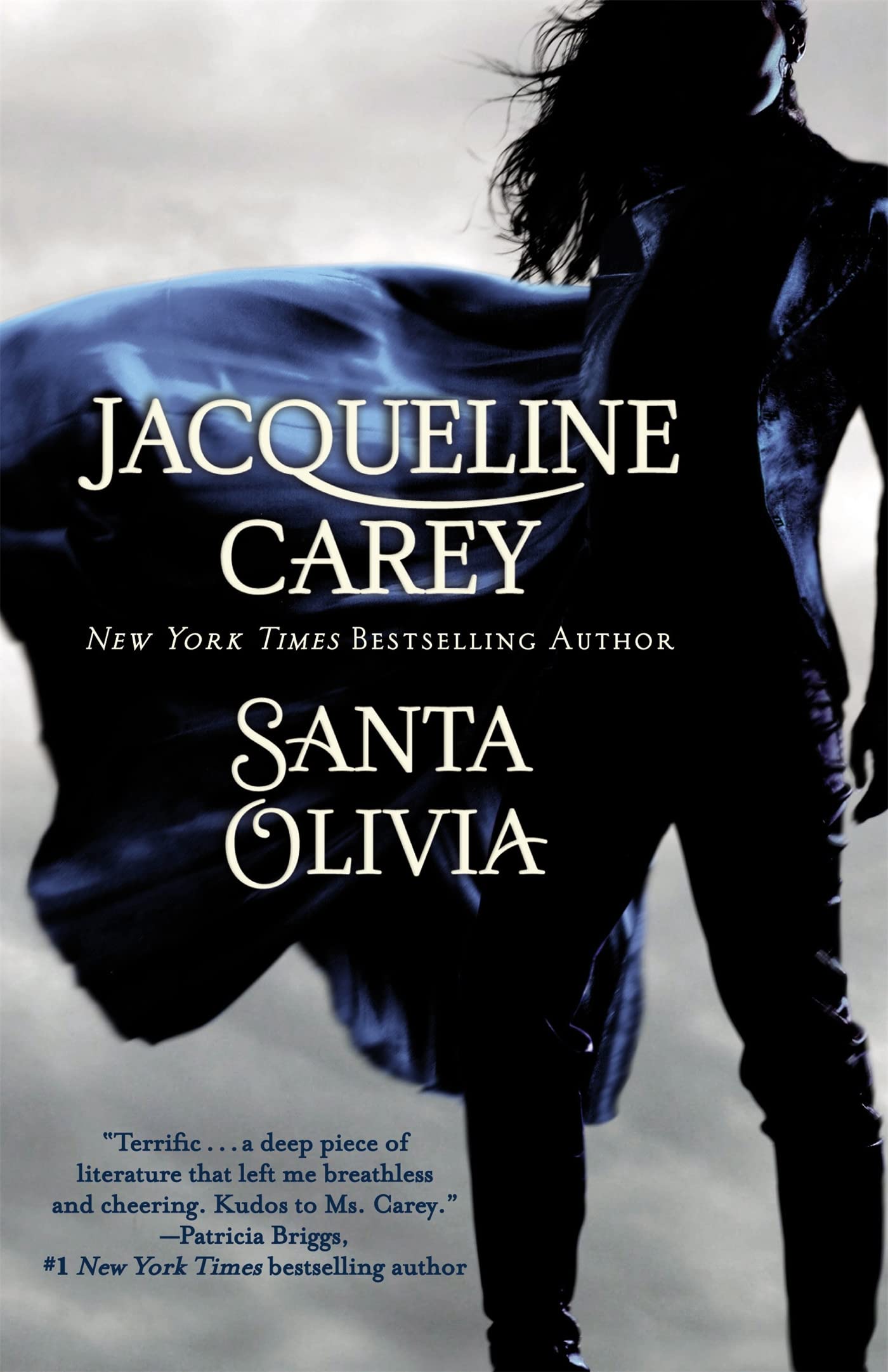 Carey Unisex Multicolor Santa Olivia Paperback Book