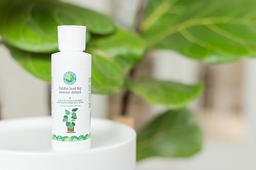 Miniatura 7 de Fiddle Leaf Fig Rescue Drops by Fiddle Leaf Fig Plant Resource  Fertilizante líquido 3 en 1, suplemento de raíz y refuerzo de inmunidad (3.3 onzas