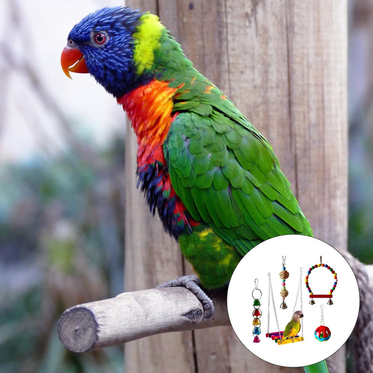 Jouets À Mordre pour Perroquets Fournitures pour Animaux De Compagnie Ensemble De Jouets À Mâcher pour Oiseaux Jouet Compact pour Oiseaux Jouet pour Le Plaisir
