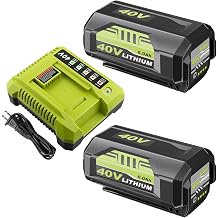 2Pack 6.0Ah Battery and OP401 Charger Kit Replacement for Ryobi Compatible with Ryobi 40V Lithium ion Battery OP4026 OP40261 OP4050 OP4040 OP40401 OP40201 OP40601 and Cordless Power Tools