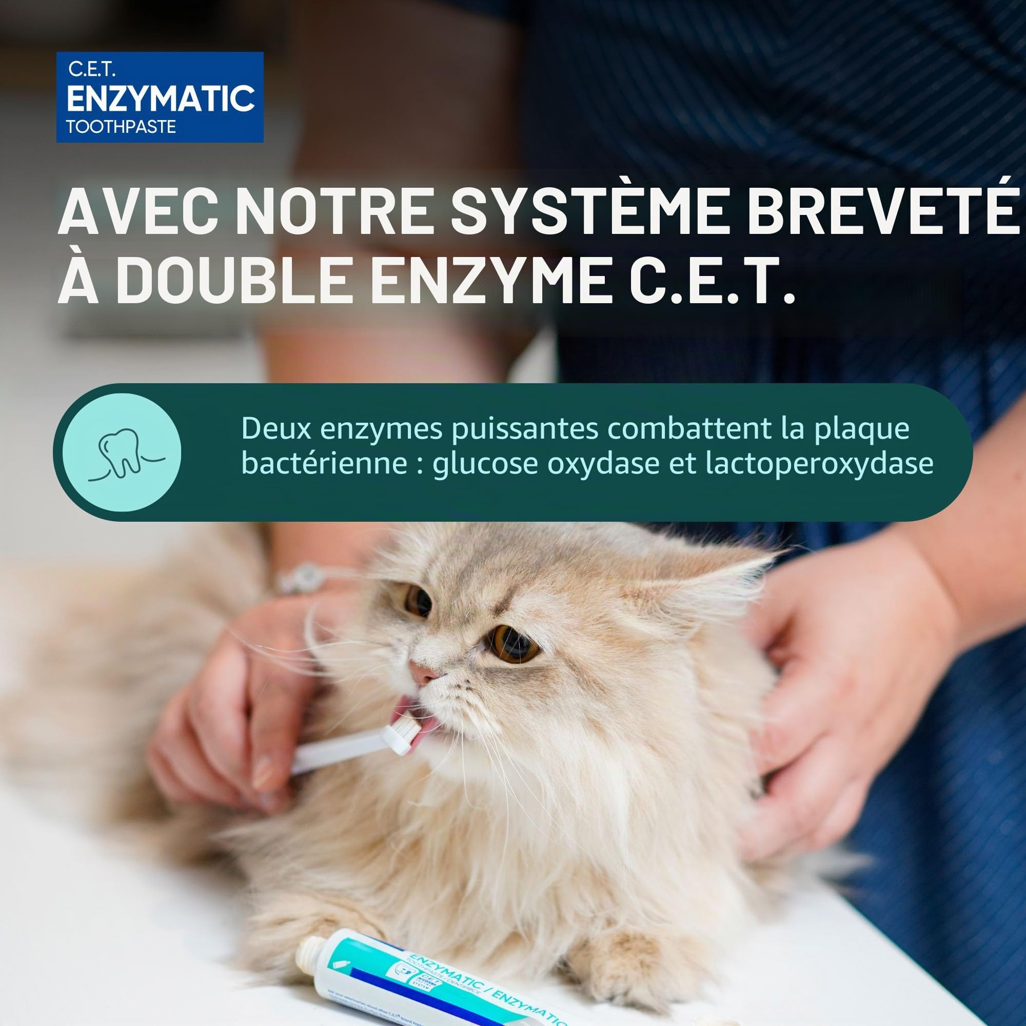 Virbac C.E.T. Dentifrice Enzymatique , Blanc/Bleu 70.9 G (Lot De 1)