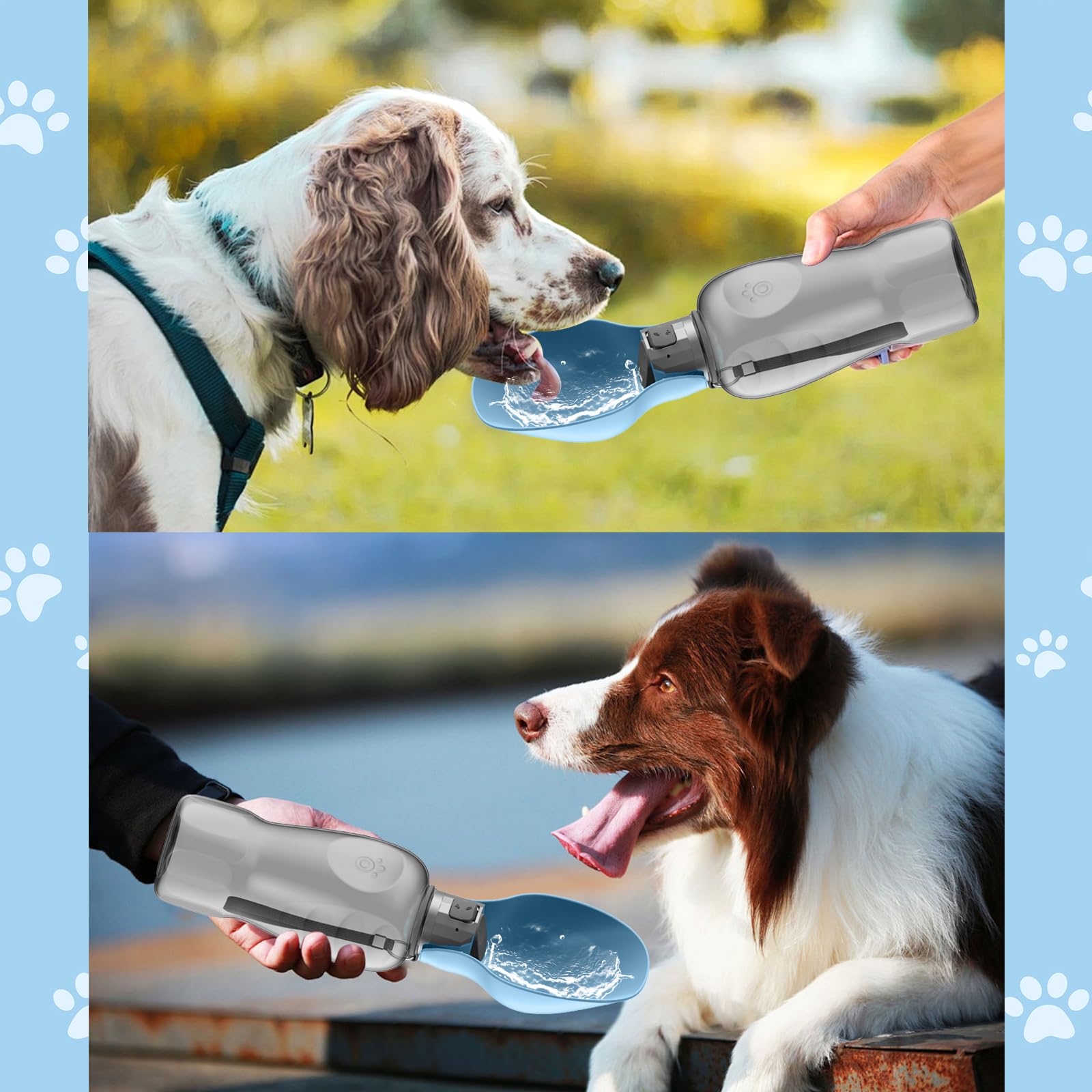 Borraccia per Cani 800ML da Viaggio, Bottiglia d'Acqua per Cani Antiperdita, Borraccia Cane Portatile per Animali per Passeggiate, Escursioni, Campeggio, Auto e Viaggi - Blu