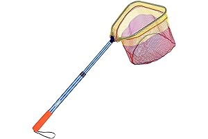 Kid Fish Net Telescoping Bait Net
