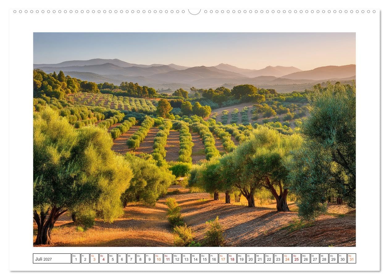 Die Magie der Olivenhaine (hochwertiger Premium Wandkalender 2027 DIN A2 quer), Kunstdruck in Hochglanz: Silbergrüne Olivenhaine, warmes Licht und die ... dich durch das Jahr. (CALVENDO Natur)