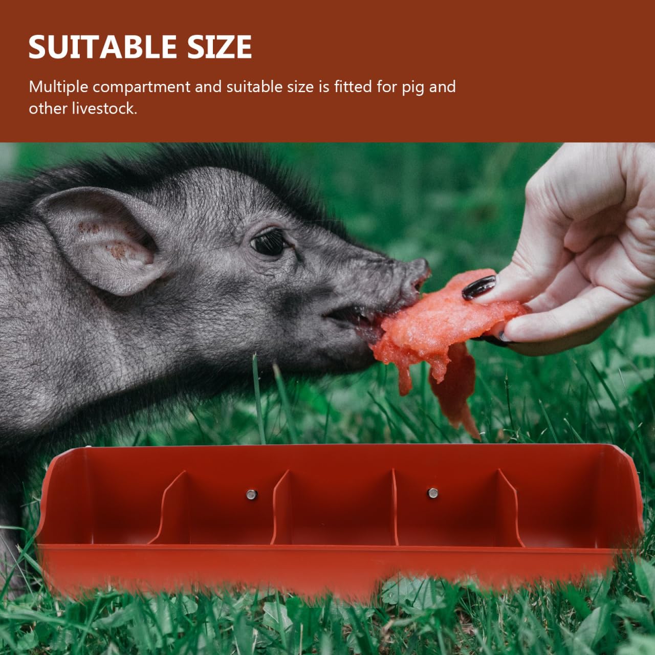 POPETPOP Comederos colgantes para aves de corral: 2 comederos de pollo, contenedor de alimentación de cerdos para pollo, pato, cabra, cerdo, aves de corral, ganado, 5 compartimentos
