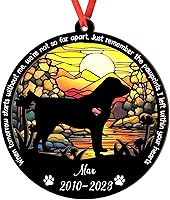 Vista 75 de Adorno personalizado para atrapasoles Bichon Frise, Bichon Frise Sun Catcher Adorno de Navidad – Regalo para perro amante, Bichon Frise 3D 2 capas