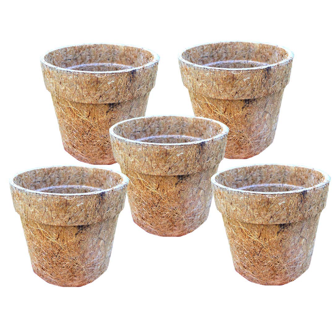 Sow and Grow Coir Pot, Coco Basket Seedling Cups for Plants, 3.5 inch (9 cm) | 5 Pieces (B08MTZ81KT) Amazon Price History, Amazon Price Tracker