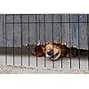 Product Photo 8