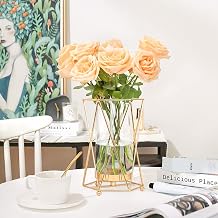Gold Flower Vase Metal Stand Glass Geometric Decor Vase,Crystal Transparent Inner Vase, Modern Large Vase Suitable Floral Home Wedding Office Centerpiece9 inch Height