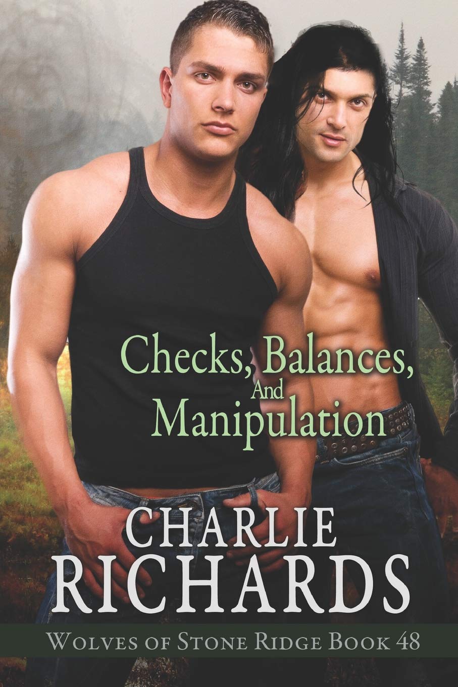 Checks, Balances, and Manipulation: 48 (Wolves of Stone Ridge)