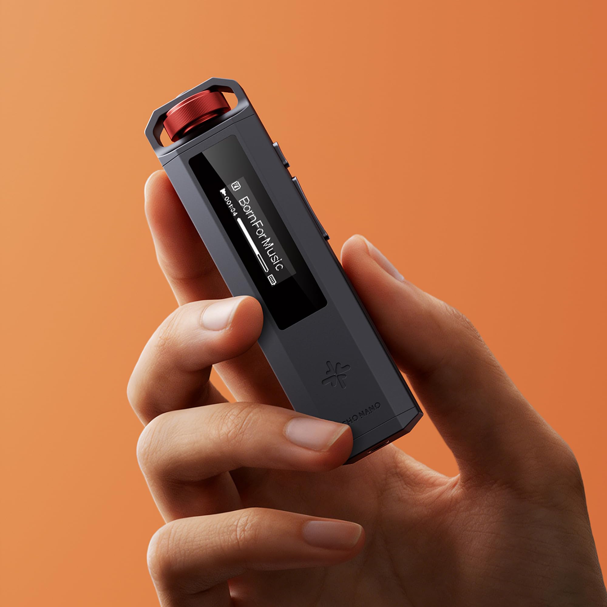 Amazon.co.jp: FIIO Snowsky ECHO NANO FIO-SSENANO【日本正規店より