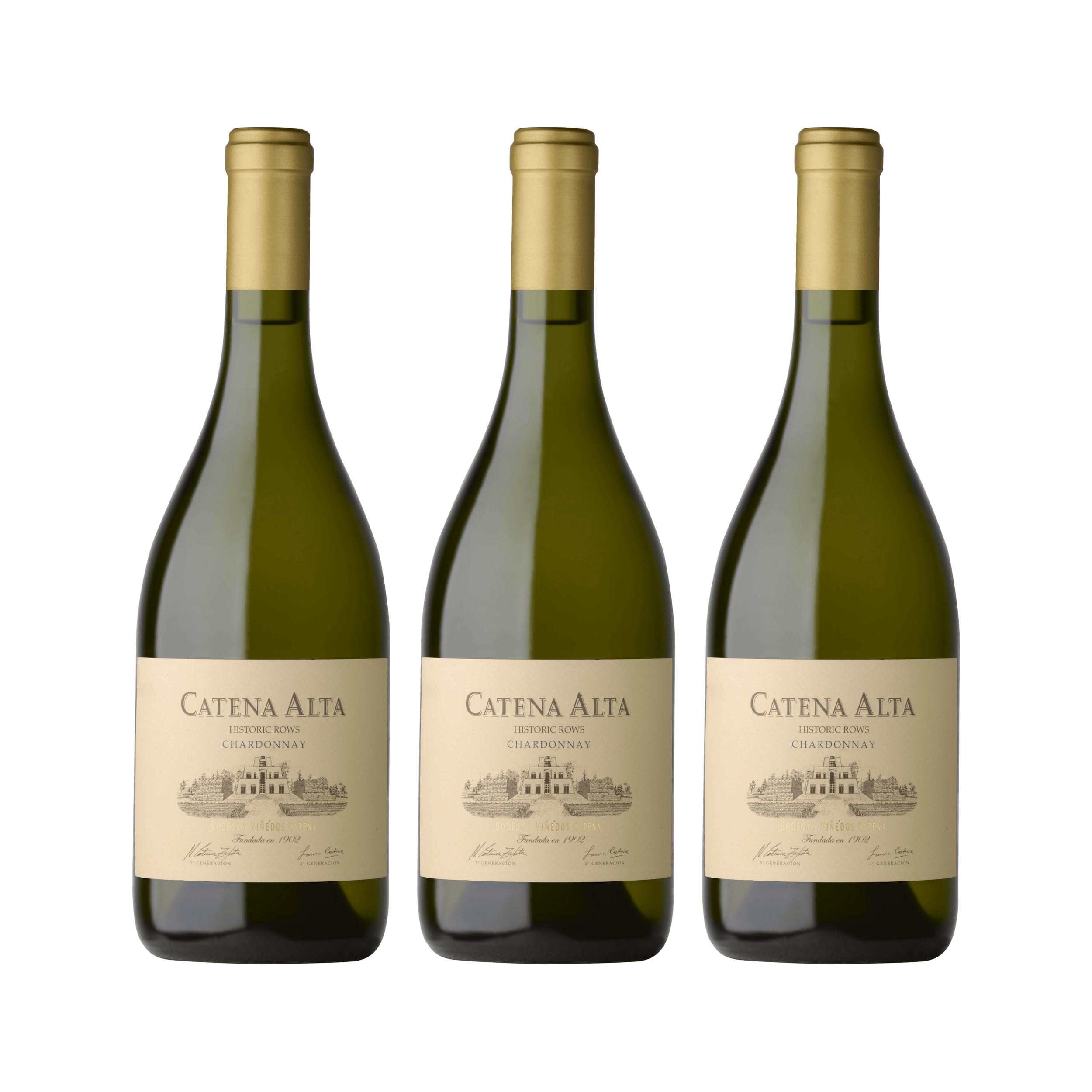 Catena Zapata Alta Chardonnay Weisswein Weiss trocken Argentinien inkl. FeinWert E-Book (3 x 0.75 l)