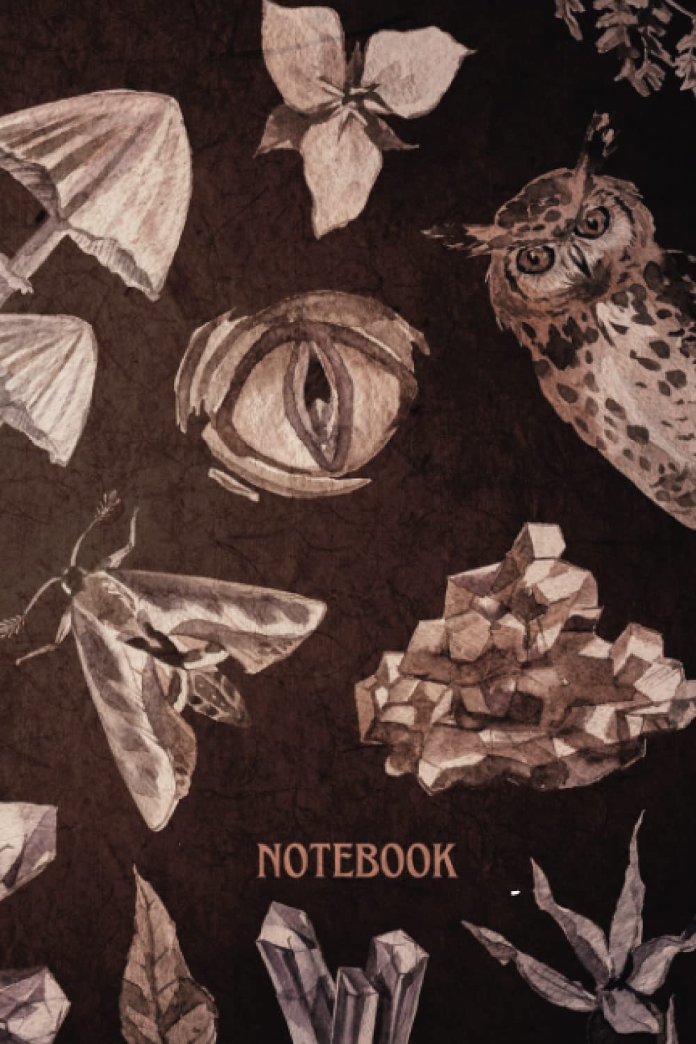 Dark Academia Notebook: Mystical Wilds Mushroom Owl Moth Crystal Notebook | A5 6x9" | 120 Pages