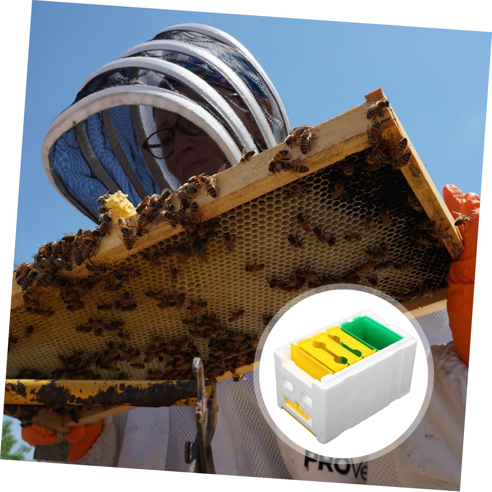 Scatola Impollinatrice per Apicoltura in Plastica Resistente, Arnia da 3 Griglie per Accoppiamento Api, Strumento Assemblato per Apicoltori e Alimentazione Api in Giardino
