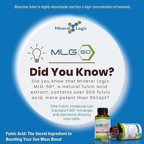 Miniatura 6 de Power By Naturals Sea Moss Advanced con aceite de semilla negra y cápsulas de saúco, cápsulas certificadas de musgo marino irlandés orgánico para