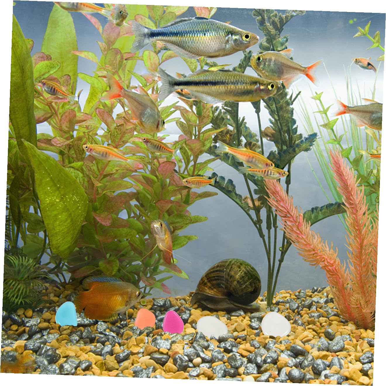 POPETPOP 2 Set Ciottoli Luminosi Acquario Rocce per Pesci Betta Pietre Dell'acquario Sostituibili Delicati Ciottoli D'acquario Accessorio per Acquario Rocce Luminose Resina 200 Pezzi * 2