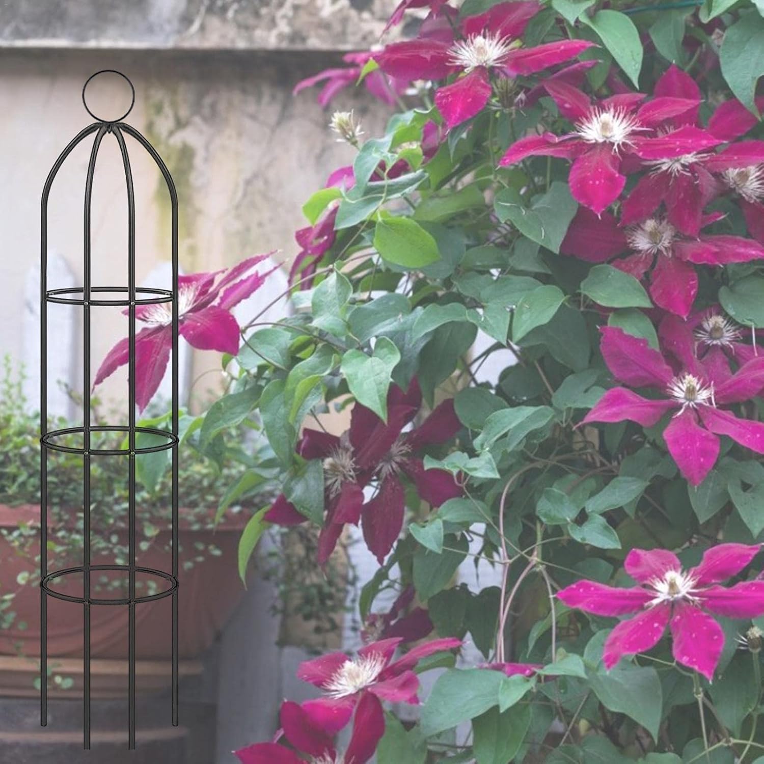 Amazon Co Jp Wisedwell オベリスク アイアン トレリス 支柱 おしゃれ ガーデンオベリスク アイアントレリス クレマチス エクステリア ガーデニング Diy エクステリア バラ ツルバラ つるばら 薔薇 ガーデンアーチ ガーデニング 誘引 アーチ アイアン オベリスク ゲート